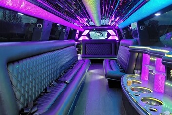 Livonia Limo Interior