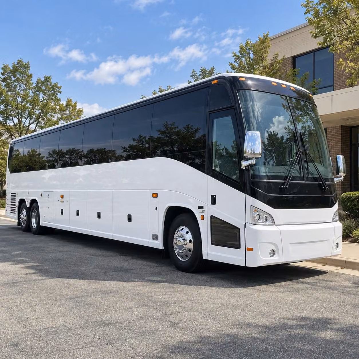 detroit lions tigers and red wings fan shuttles from livonia